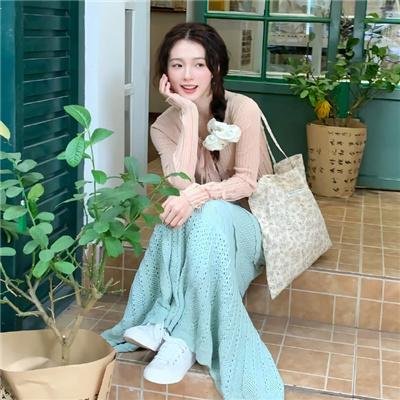 海豚的故事2